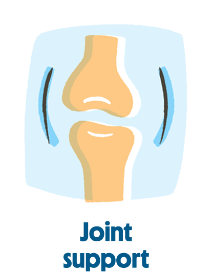 
                            Joint Support

