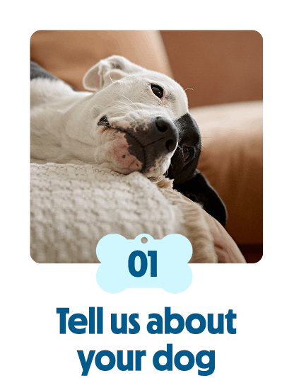 
                            Tell us about your dog
