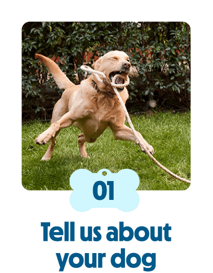 
                            Tell us about your dog

