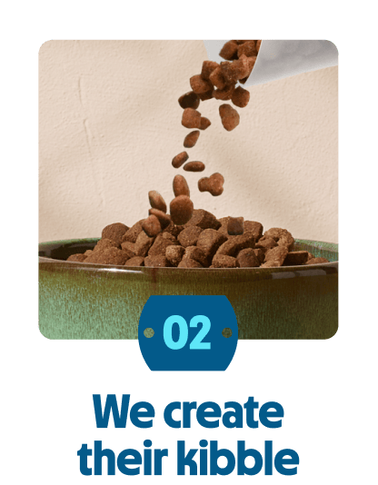 
                            We create their kibble
