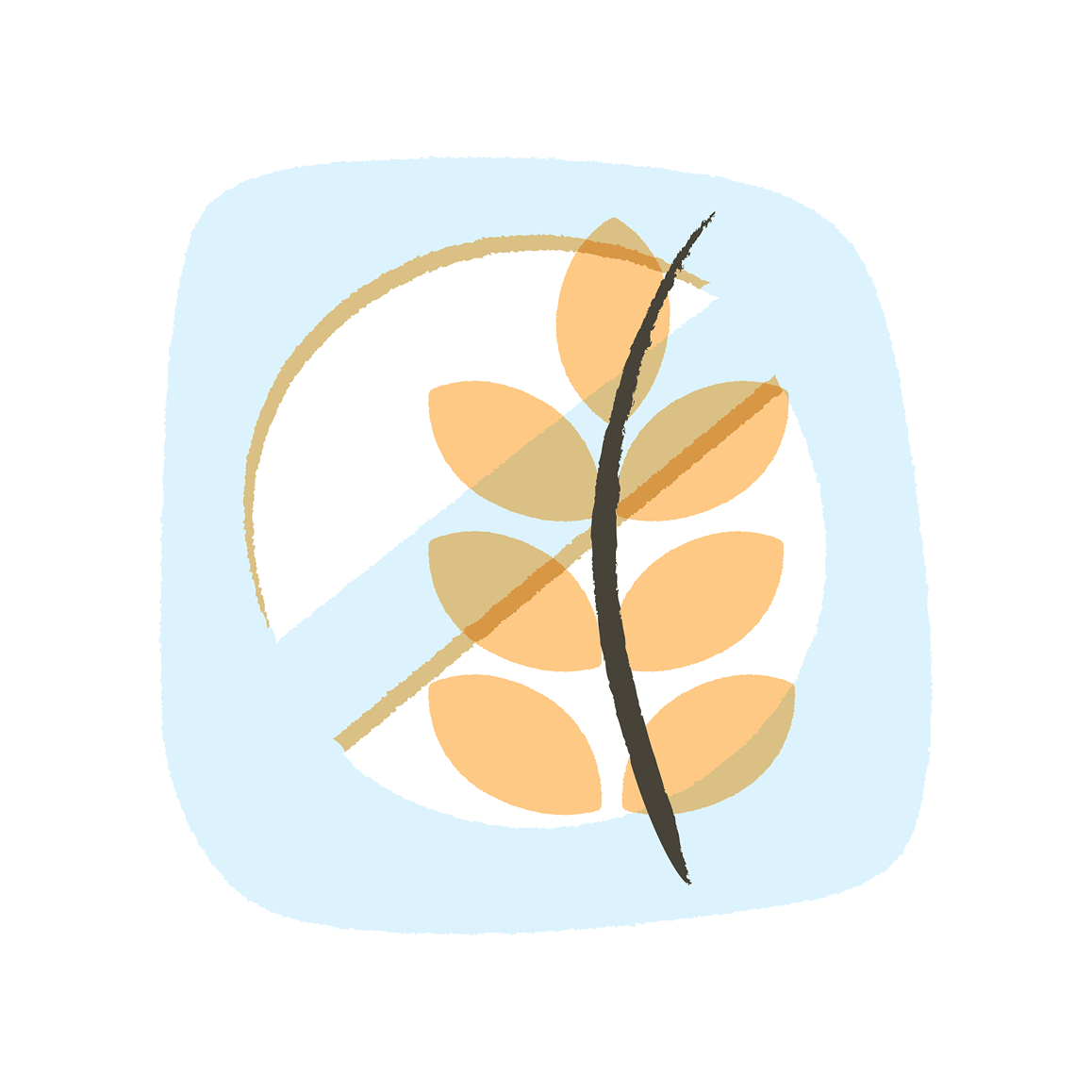 Avoids common allergens