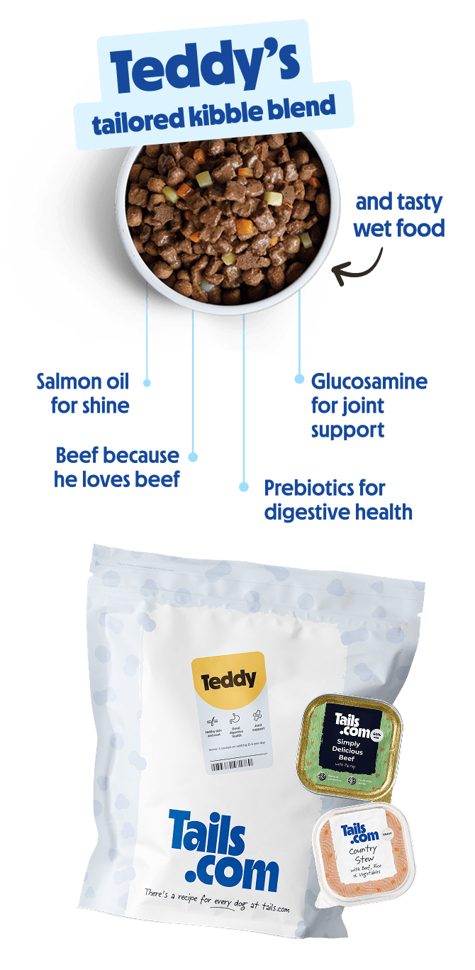Bowl of tailored dog kibble with wet dog food, highlighting digestive health, joint support and shiny coat benefits.