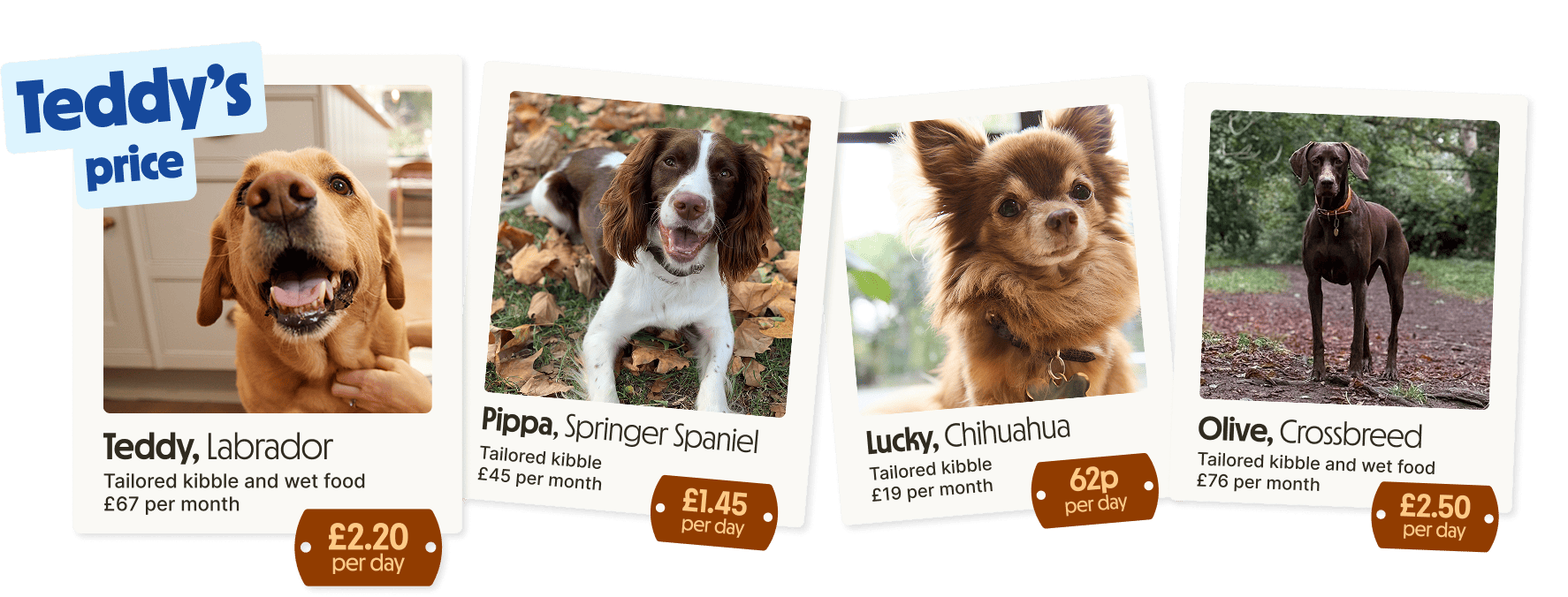 Even the price is tailored