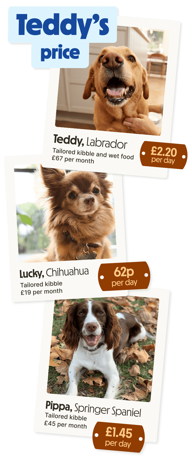 Even the price is tailored