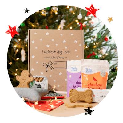 Ultimate Christmas Box
