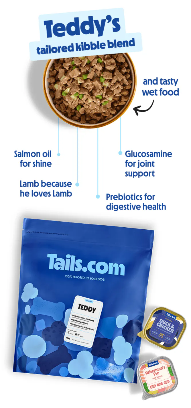 Bowl of tailored dog kibble with wet dog food, highlighting digestive health, joint support and shiny coat benefits.