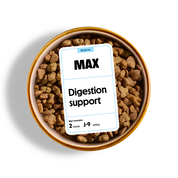 Sensitive stomach dog food