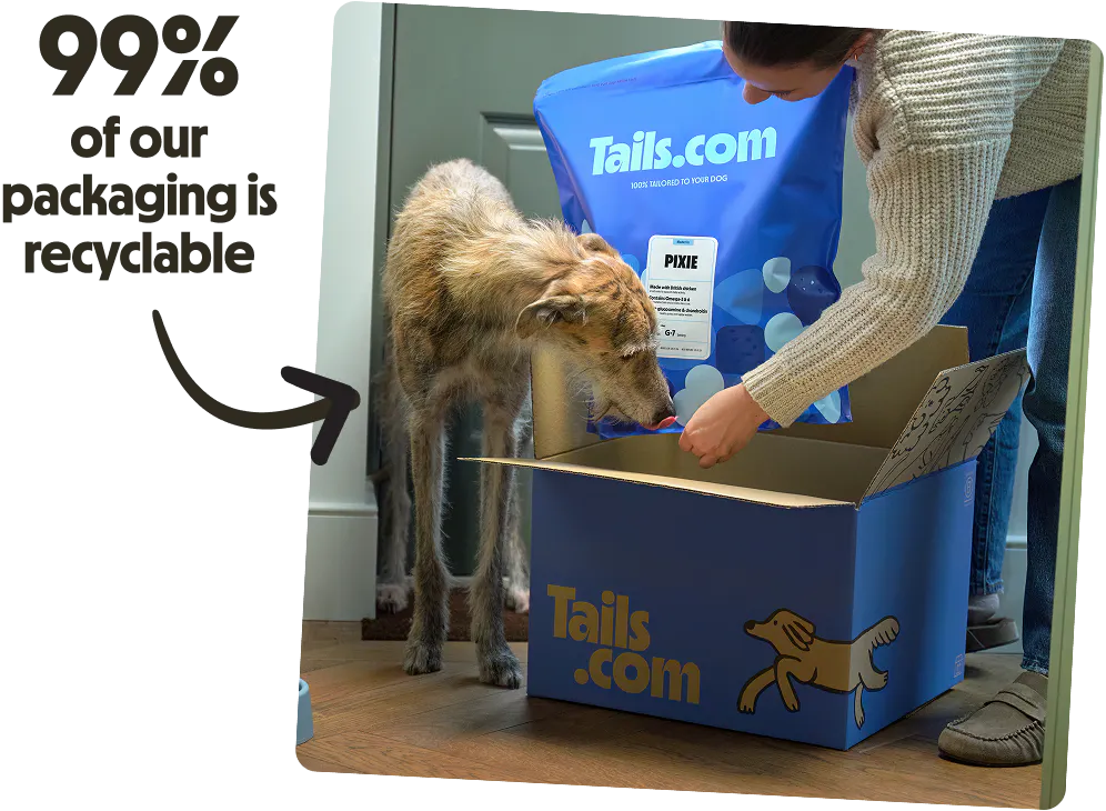 Person and dog unpacking a dog food subscription box.