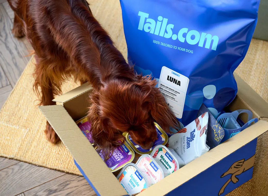 Dog food subscription box with tailored kibble, wet dog food and treats.