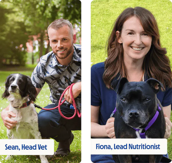 Experts in puppy food and nutrition, pictured outdoors with dogs.