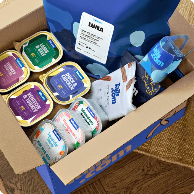 Alfie the dog sniffing his full tails.com box of treats and food