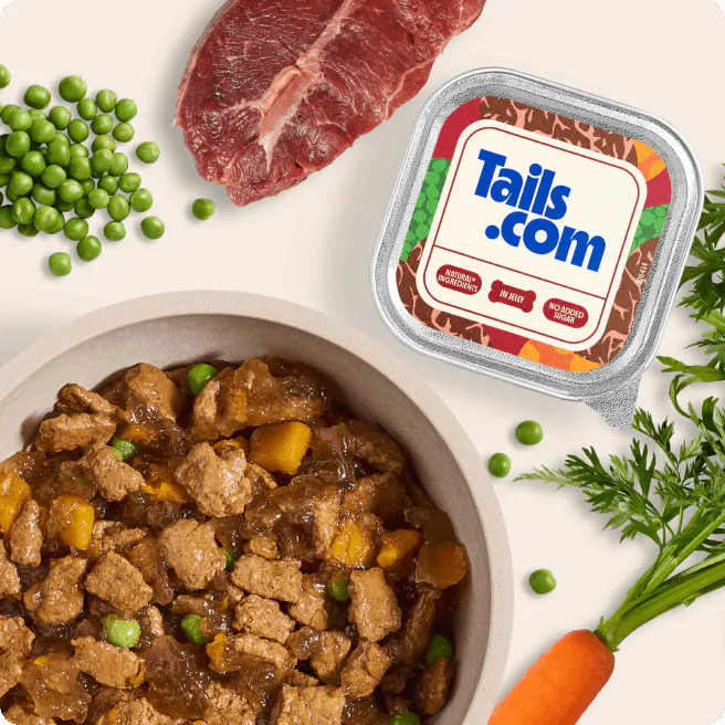 A wet food tray alongside a bowl of wet food