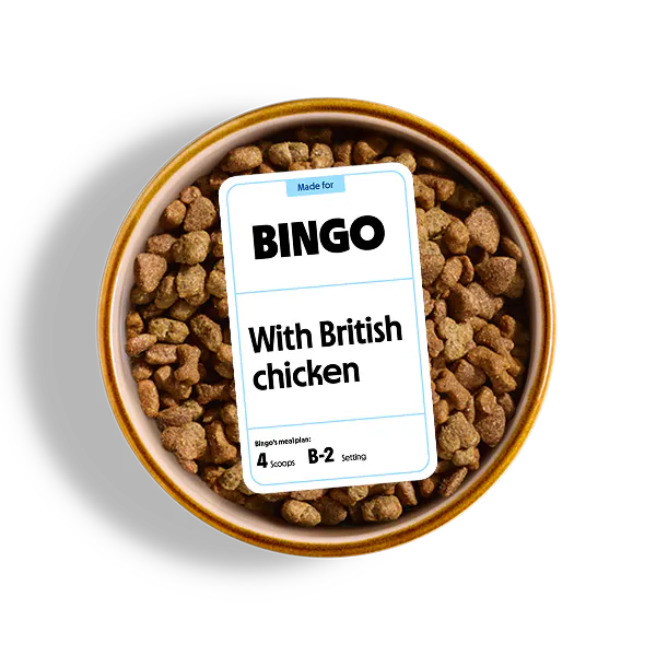 Bowl of dry dog food for a fussy puppy.