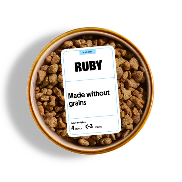 Bowl of grain free puppy food.