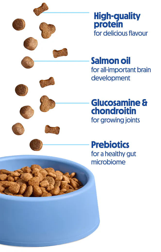 Puppy food with healthy ingredients including protein, glucosamine, chondroitin, salmon oil & prebiotics.
