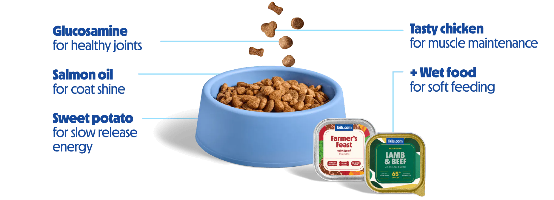 Senior dog food with glucosamine, salmon oil, sweet potato and tasty chicken with wet dog food for soft feeding.