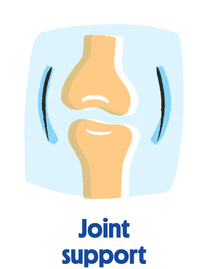
                            Icon of senior dog food to support joint health.
