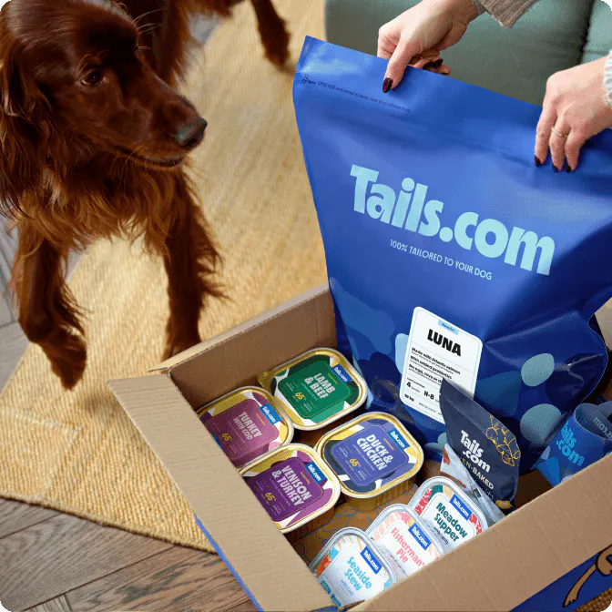 Dog food subscription box with wet and dry senior dog food.
