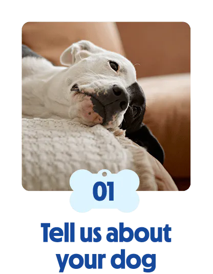 
                            A black and white dog resting its head on a blanket.
