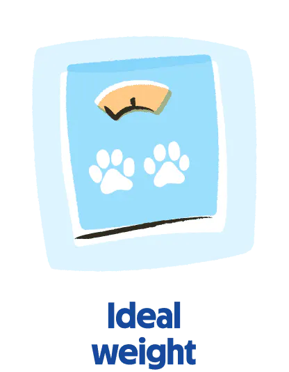 
                            Icon of senior dog food to support healthy weight.
