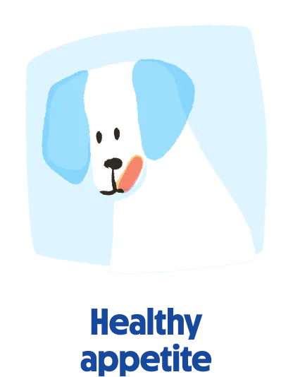 
                            Icon of senior dog food to support healthy appetite.
