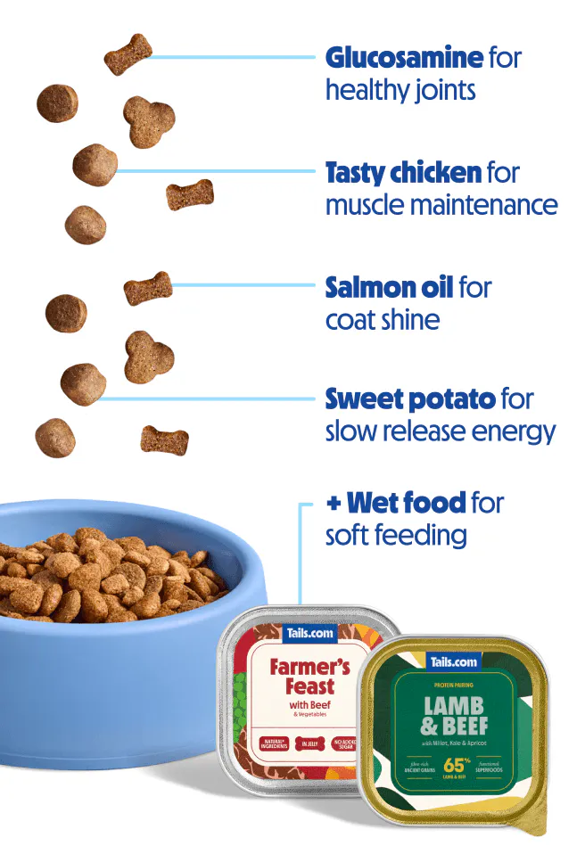 Senior dog food with glucosamine, salmon oil, sweet potato and tasty chicken with wet dog food for soft feeding.
