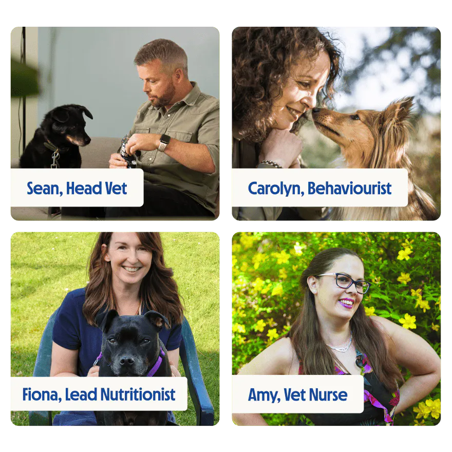 Experts in senior dog food and nutrition, pictured outdoors with dogs.