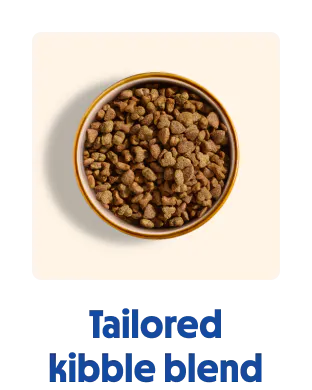 
                             A bowl of tailored hypoallergenic dry dog food or kibble.

