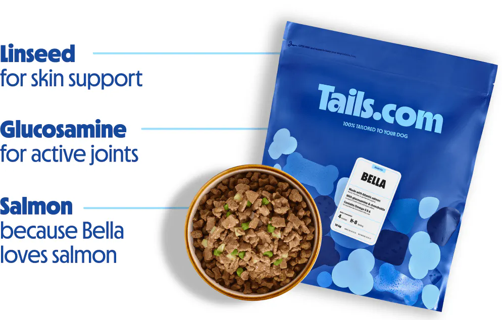 Bowl of tailored dog kibble with healthy ingredients.