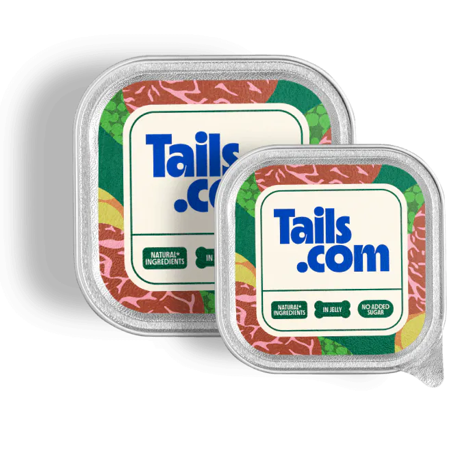 Wet food