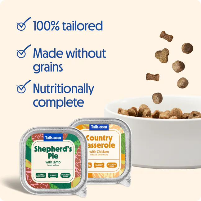 Bowl of tailored, grain free dog kibble alongside tails.com dog food trays