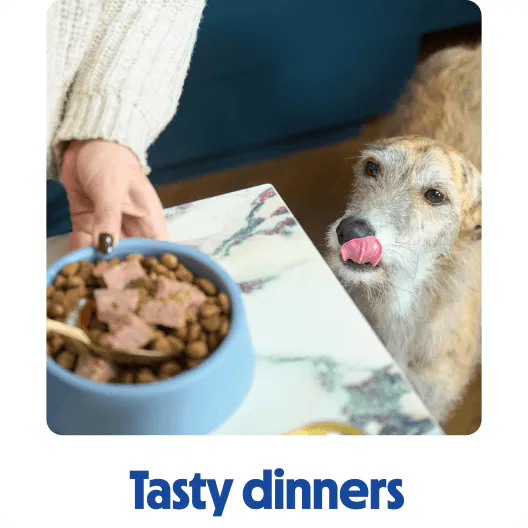 Tasty dinners