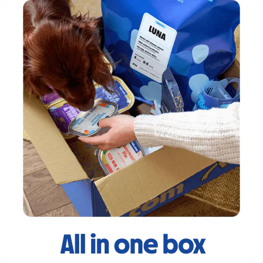 All in one box