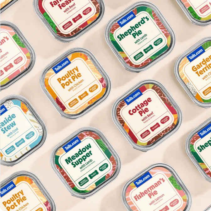 tails.com wet food in bowl with wet food trays next to it