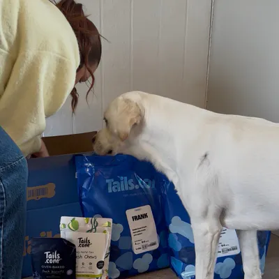 Owner unboxing their Tails.com delivery