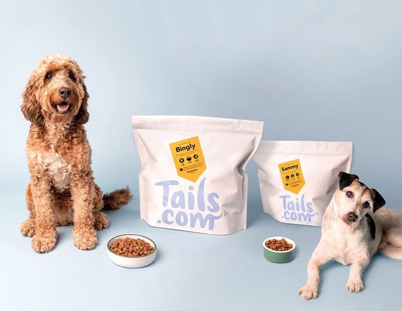 Chiens posant avec leurs tails.com mélanges uniques