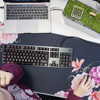 Developer, Madeline and her desk set-up