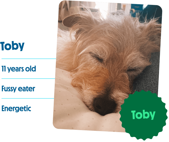 Toby, 11 years old, fussy eater, energetic