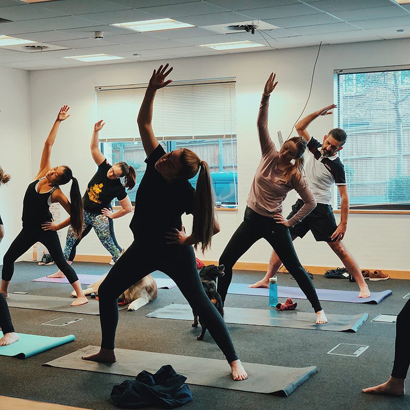 Frühmorgendliches Hunde-Yoga
