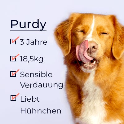 Hund leckt die Lippen signup