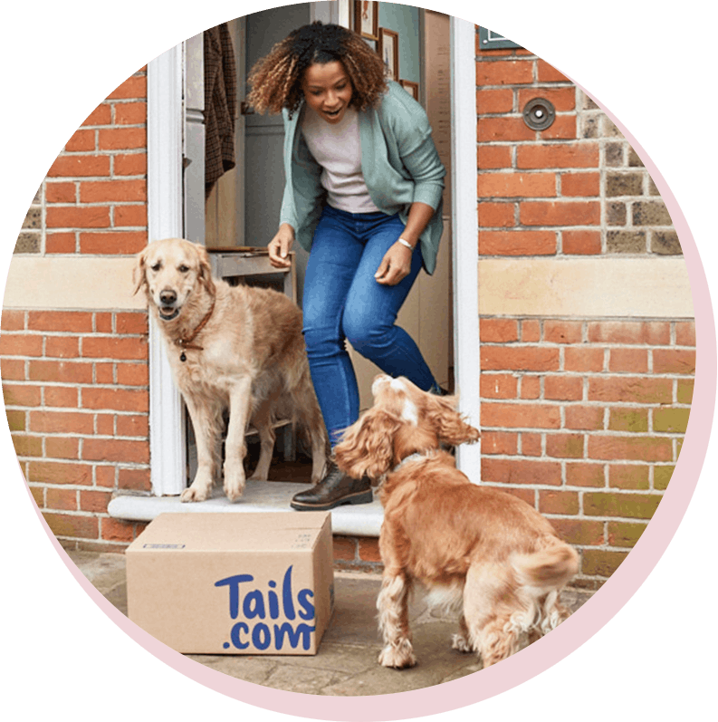 Photo de deux chiens et leur maîtresse avec leur colis de croquettes