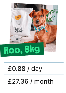 
                        
                            Roo, 8kg, 88p a day
                        