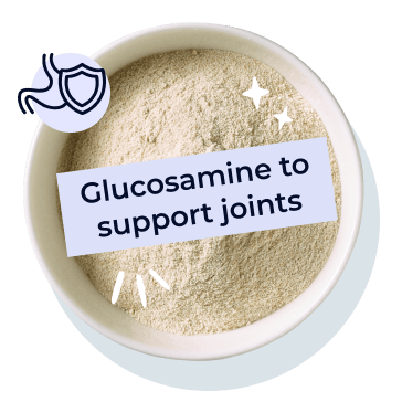Glucosamine to support joints
