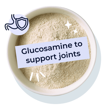 
                        
                            Glucosamine to support joints
                        