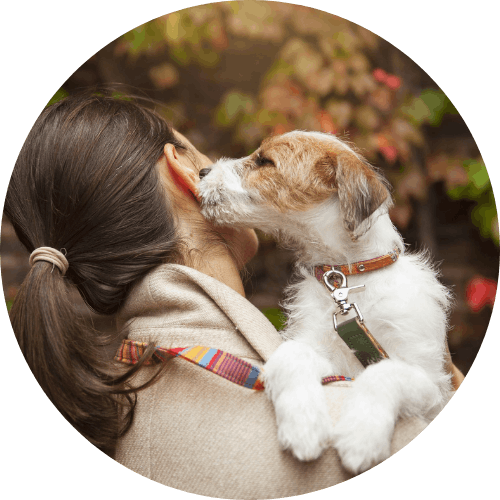 Le chien d'une cliente qui lui lèche l'oreille