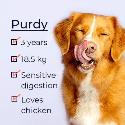 dog licking lips signup flow