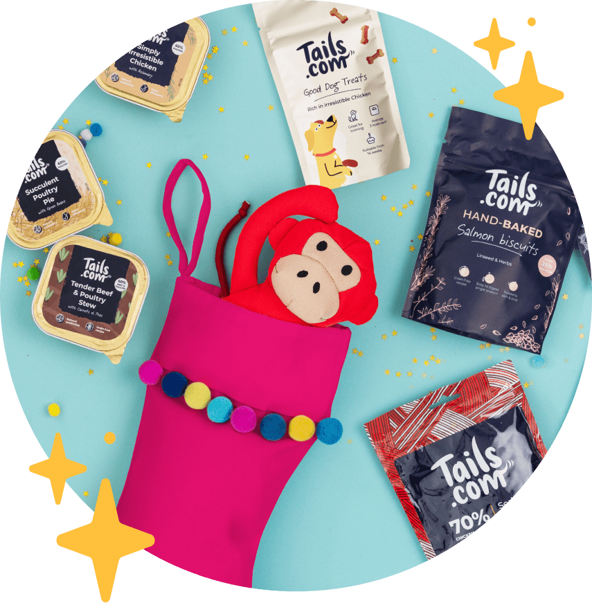 Toys, treats & more
