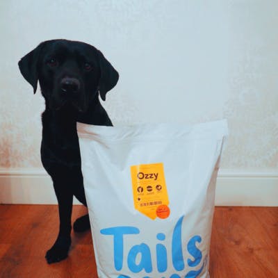 Tails dog hot sale food price