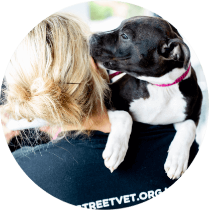 StreetVet volunteer with a staffy dog