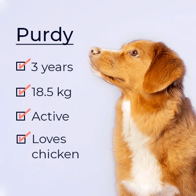 Purdy looking at his profile
